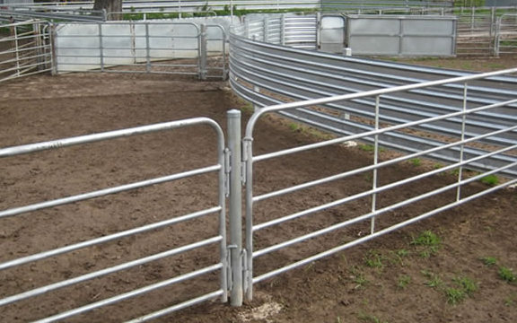 cattle fence